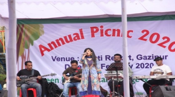stage performance in the annual picnic 2020
